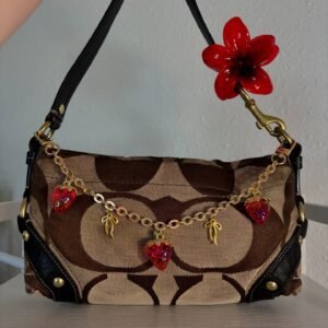 Brown Coach