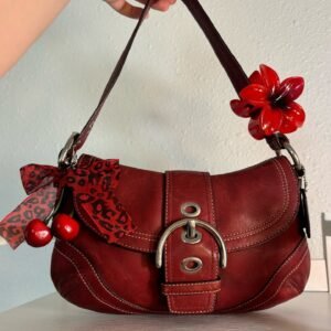 Coach Mini