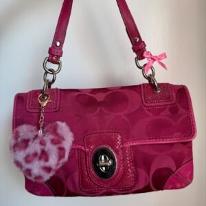 Vintage Coach